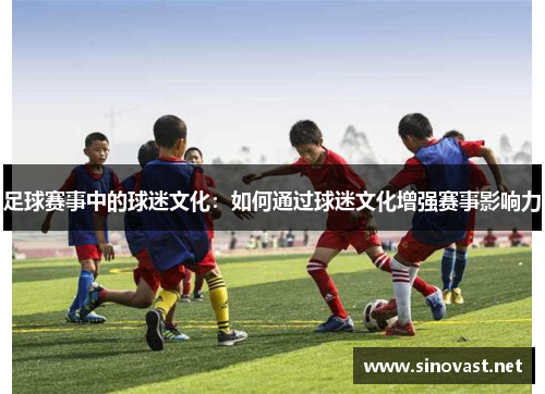 足球赛事中的球迷文化：如何通过球迷文化增强赛事影响力