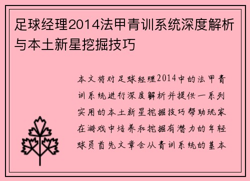 足球经理2014法甲青训系统深度解析与本土新星挖掘技巧