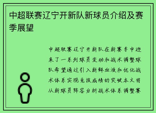 中超联赛辽宁开新队新球员介绍及赛季展望