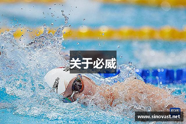 关于必威